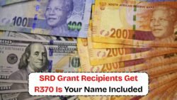 Is Your R370 SRD Grant for September 2025 on Its Way? Check This Month’s Relief Payment Status!