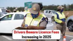 South Africa 2025: Motorists Face Soaring Licence Renewal Costs