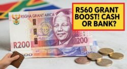 R560 Child Support Grant September 2025 โ Find Out If Your Payout Is in Bank or Cash Collection